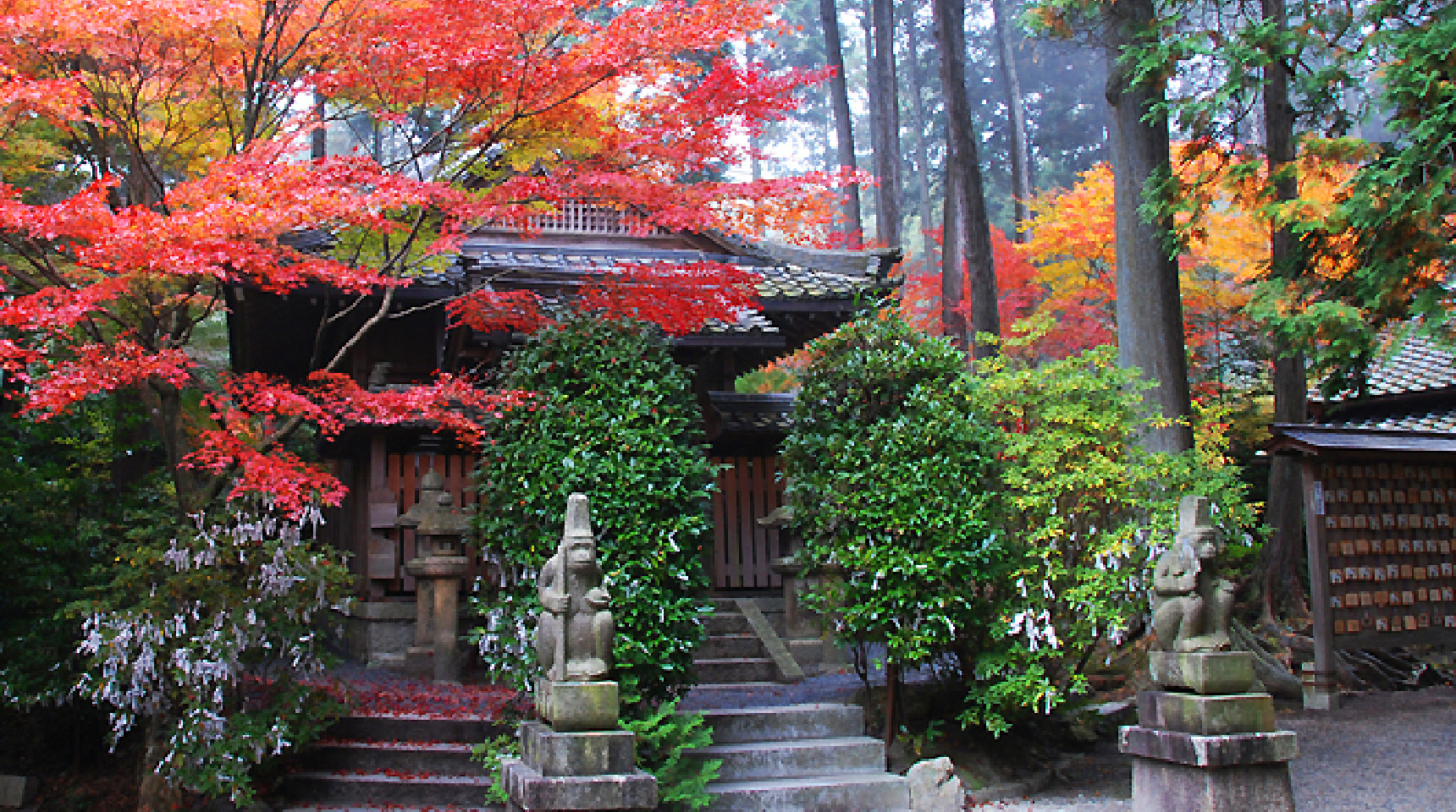 身近に秋を感じる映えコース：紅葉の和歌が詠まれた神社で錦秋を体感！「猿丸神社」